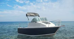 Wild 5.5 Cuddy Cabin 