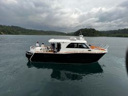 Wild 10 Metre Catamaran