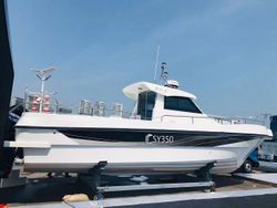 Wild 1060 Walk Around